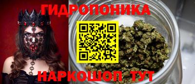 МДПВ Гусев