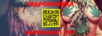 гидра Донецк