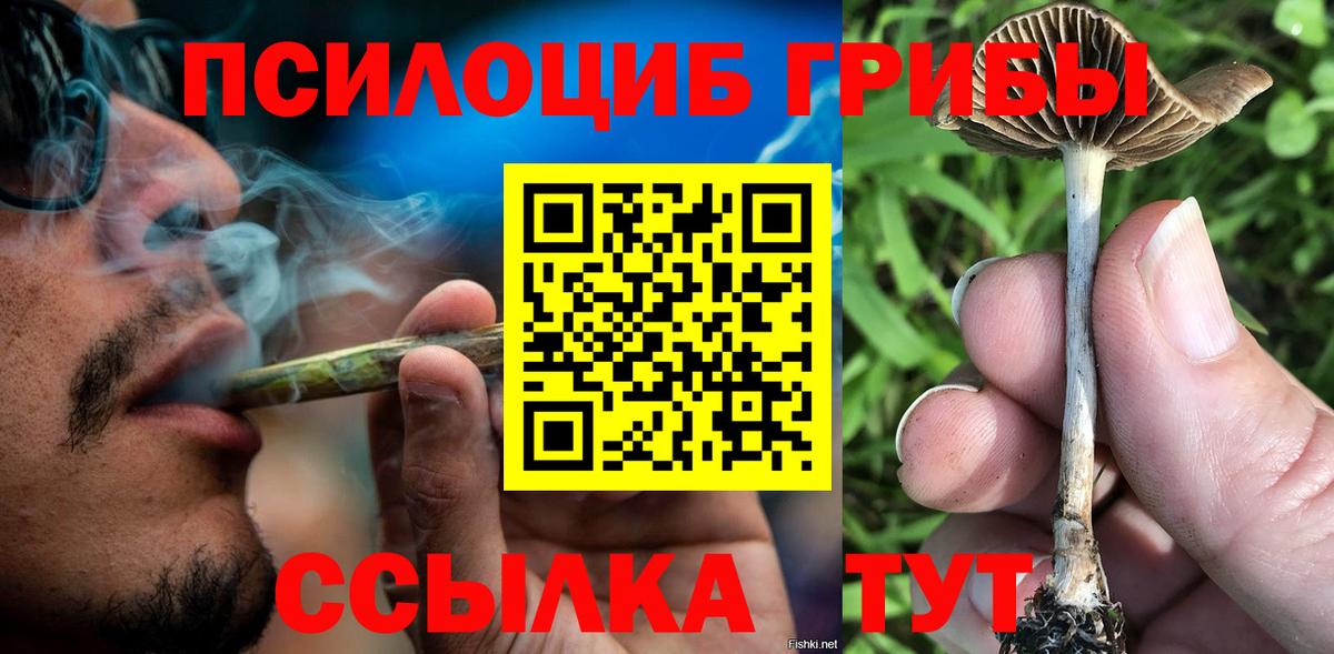 Псилоцибиновые грибы MAGIC MUSHROOMS  Вход с VPN  Набережные Челны  Псилоцибиновые грибы Psilocybine cubensis 